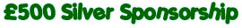 £500 Silver Sponsorship
